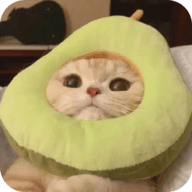 免费看片APPAPP应用